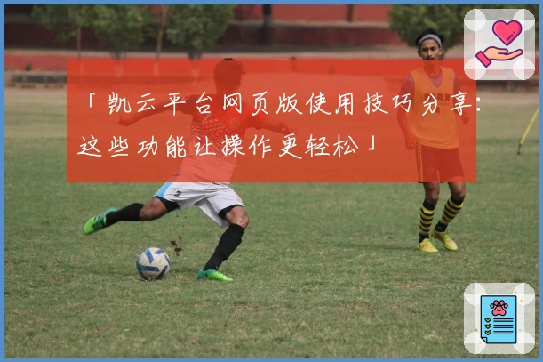 「凯云平台网页版使用技巧分享：这些功能让操作更轻松」